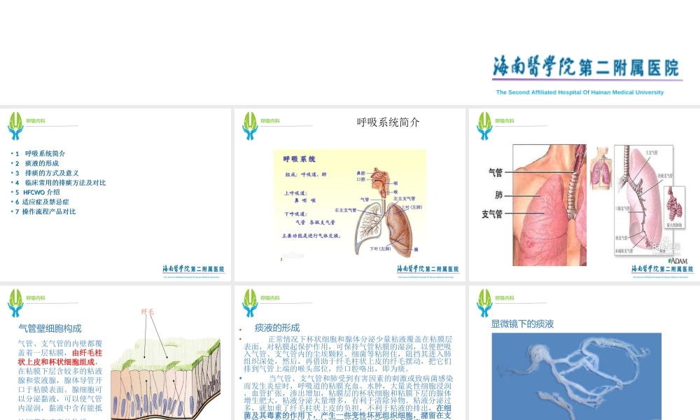 高频胸壁震动排痰机的使用