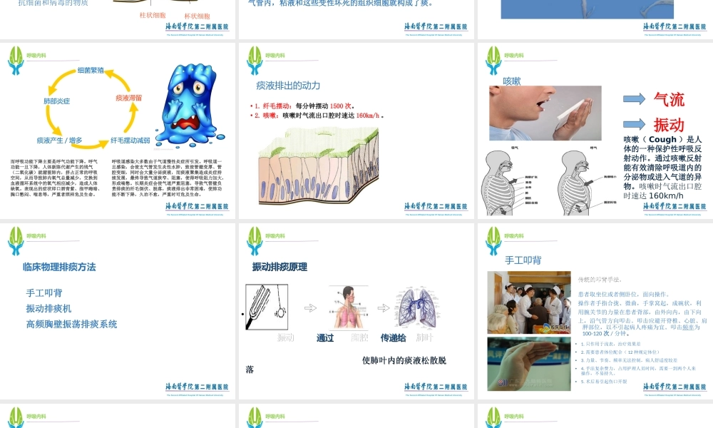 高频胸壁震动排痰机的使用