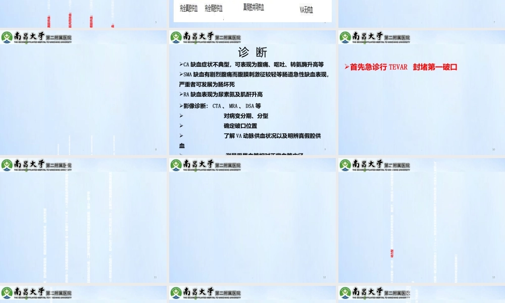 累及内脏动脉的型主动脉夹层的处理精选文档PPT课件