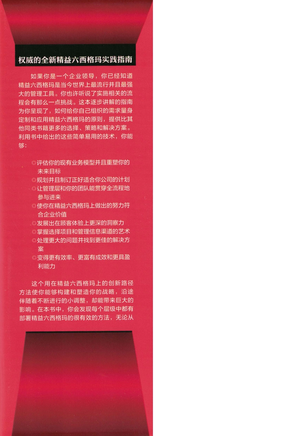 精益六西格玛创新实践之道——高效业务流程改进实战指南.pdf (精益六西格玛创新实践之道——高... (z-lib.org)_第2页