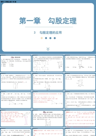 2024-2025学年度北师版八上数学1.3勾股定理的应用【课外培优课件】.pptx