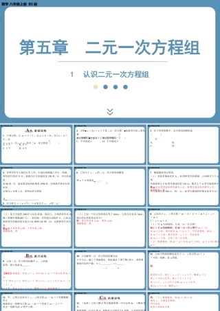 2024-2025学年度北师版八上数学5.1认识二元一次方程组【课外培优课件】.pptx