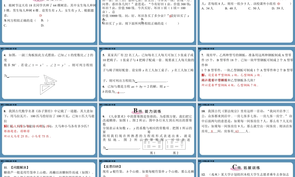2024-2025学年度北师版八上数学5.3应用二元一次方程组——鸡兔同笼【课外培优课件】.pptx