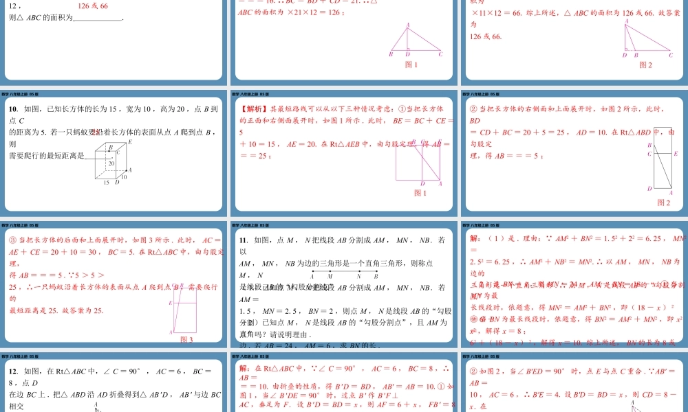 2024-2025学年度北师版八上数学-期末复习一(第一章勾股定理)【课外培优课件】.pptx