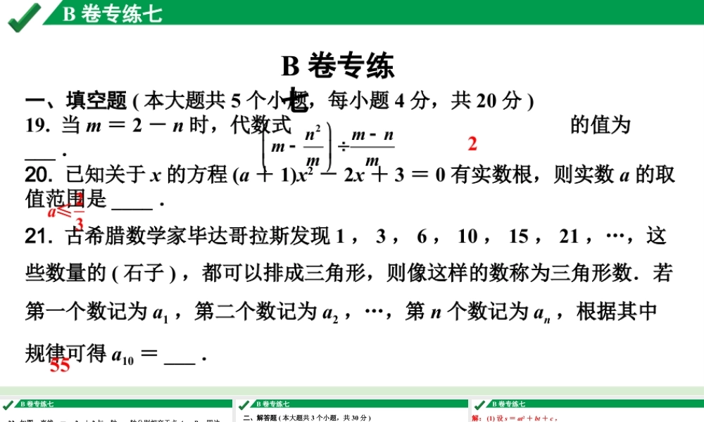 2024成都中考数学B卷专项强化训练07.B卷专练七课件.pptx