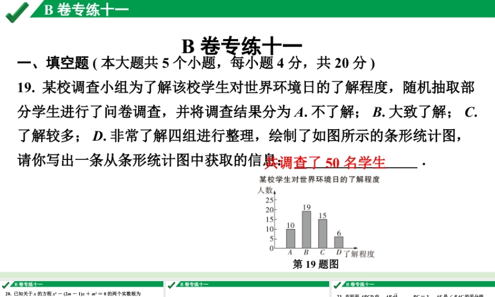 2024成都中考数学B卷专项强化训练11.B卷专练十一课件.pptx