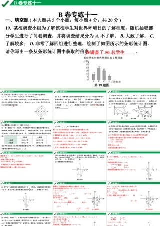 2024成都中考数学B卷专项强化训练11.B卷专练十一课件.pptx