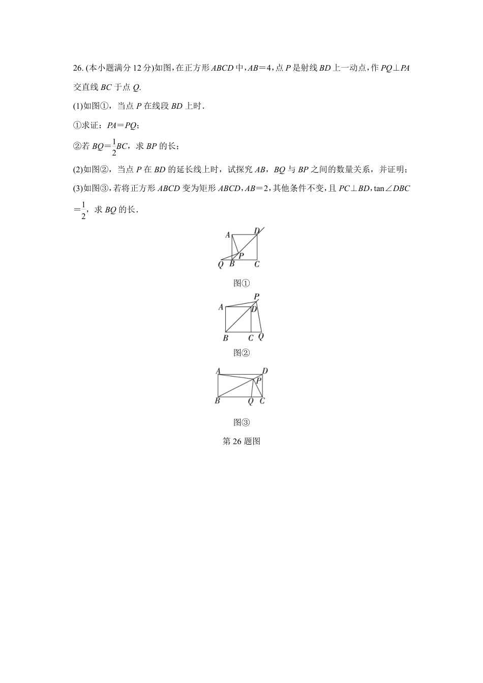 2024成都中考数学B卷专项强化训练九 (含答案).pdf_第3页