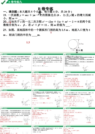 2024成都中考数学B卷专项强化训练九课件.pptx