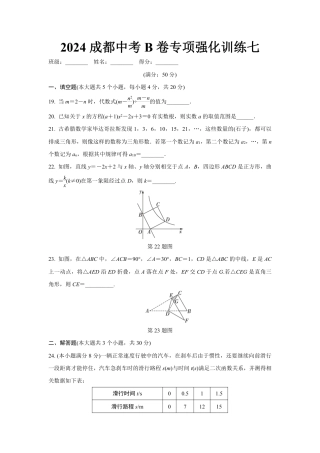 2024成都中考数学B卷专项强化训练七 (含答案).pdf