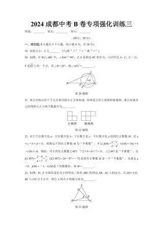 2024成都中考数学B卷专项强化训练三 (含答案).pdf