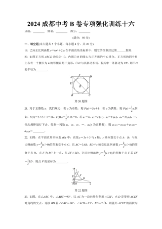 2024成都中考数学B卷专项强化训练十六 (含答案).pdf