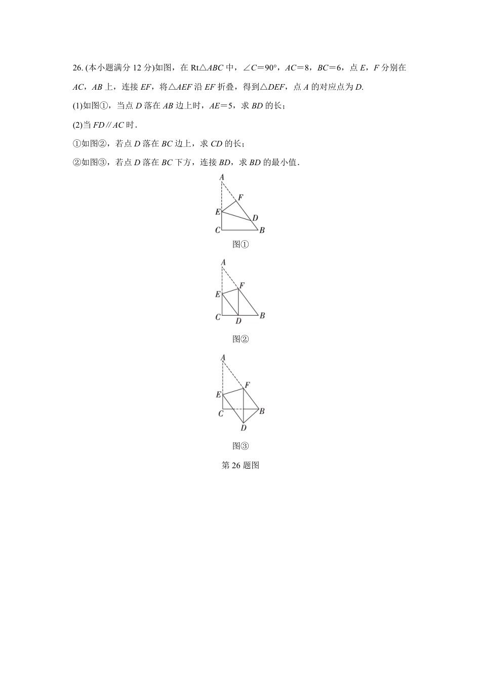 2024成都中考数学B卷专项强化训练十一 (含答案).pdf_第4页
