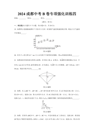 2024成都中考数学B卷专项强化训练四 (含答案).pdf