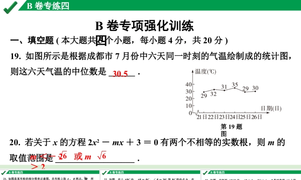 2024成都中考数学B卷专项强化训练四课件.pptx