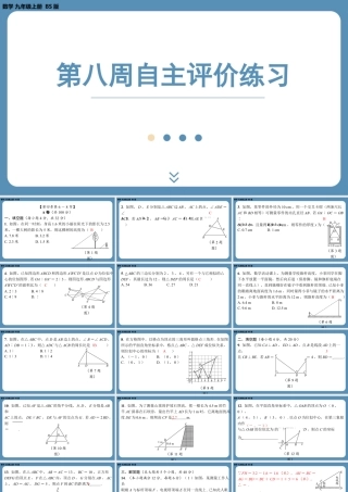 2024-2025学年度北师版九上数学-第八周自主评价练习【上课课件】.pptx