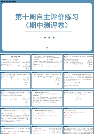 2024-2025学年度北师版九上数学-第十周自主评价练习（期中测评卷）【上课课件】.pptx