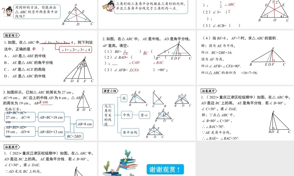 2024-2025学年度人教版八上数学11.1与三角形有关的线段课时2【上课课件】.pptx