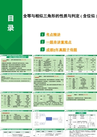 2024成都中考数学第一轮专题复习 全等与相似三角形的性质与判定(含位似)  课件.pptx