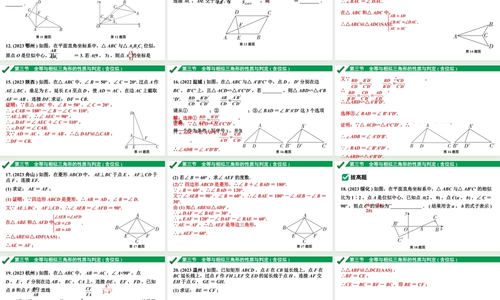 2024成都中考数学第一轮专题复习之第四章 第三节 全等与相似三角形的性质与判定(含位似) 练习课件.pptx