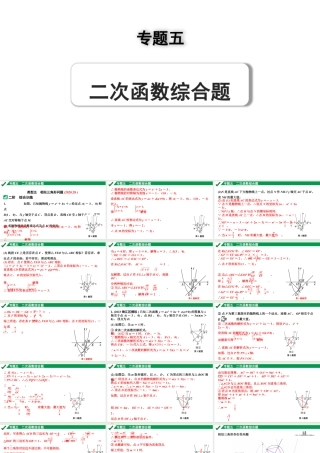 2024成都中考数学第一轮专题复习之专题五 类型五 相似三角形问题 教学课件.pptx