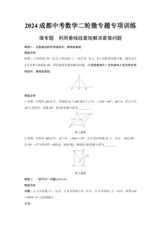 2024成都中考数学二轮微专题专项训练  (含答案).docx