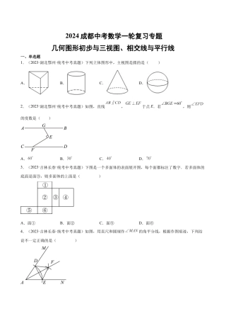 2024成都中考数学一轮复习专题 几何图形初步与三视图、相交线与平行线 (含解析).docx