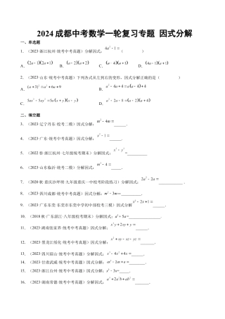2024成都中考数学一轮复习专题 因式分解 (含解析).docx