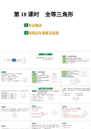 2024海南中考数学二轮重点专题研究 第18课时 全等三角形（课件）.pptx