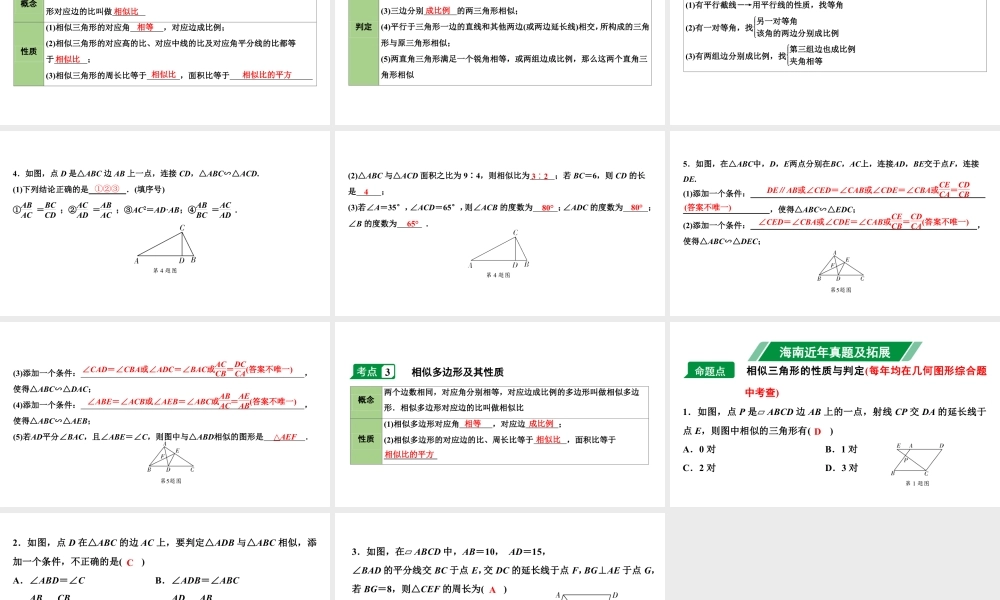 2024海南中考数学二轮重点专题研究 第20课时 相似三角形(课件).pptx