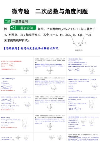 2024海南中考数学二轮重点专题研究 微专题 二次函数与角度问题（课件）.pptx