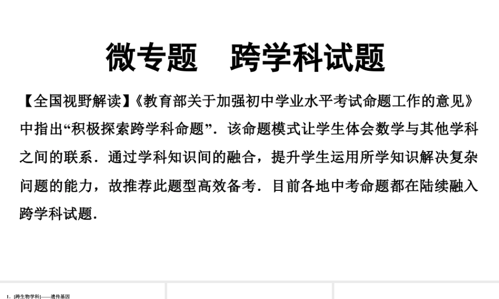 2024海南中考数学二轮重点专题研究 微专题 跨学科试题(课件).pptx