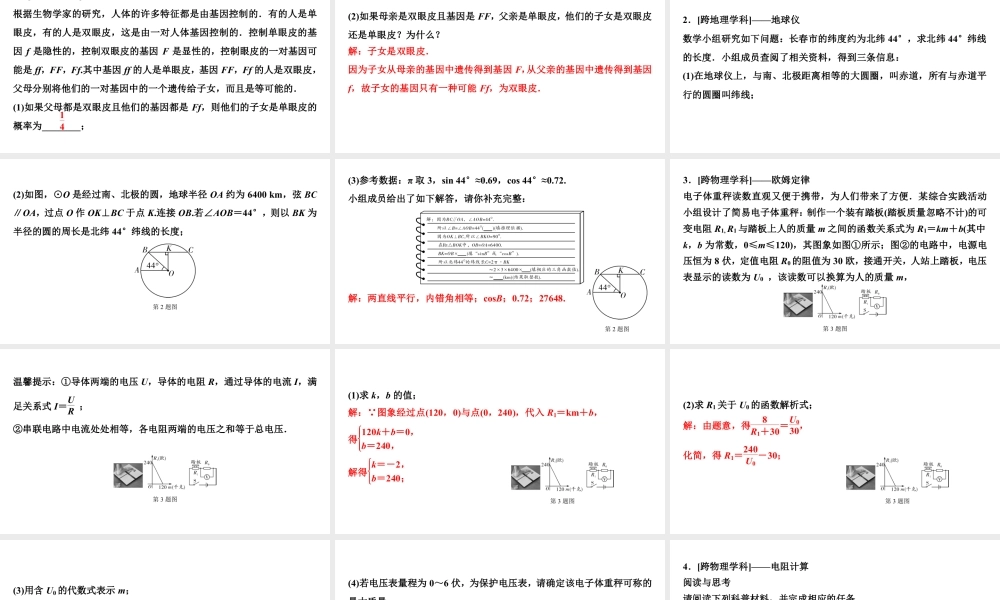 2024海南中考数学二轮重点专题研究 微专题 跨学科试题(课件).pptx