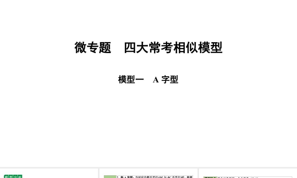 2024海南中考数学二轮重点专题研究 微专题 四大常考相似模型(课件).pptx