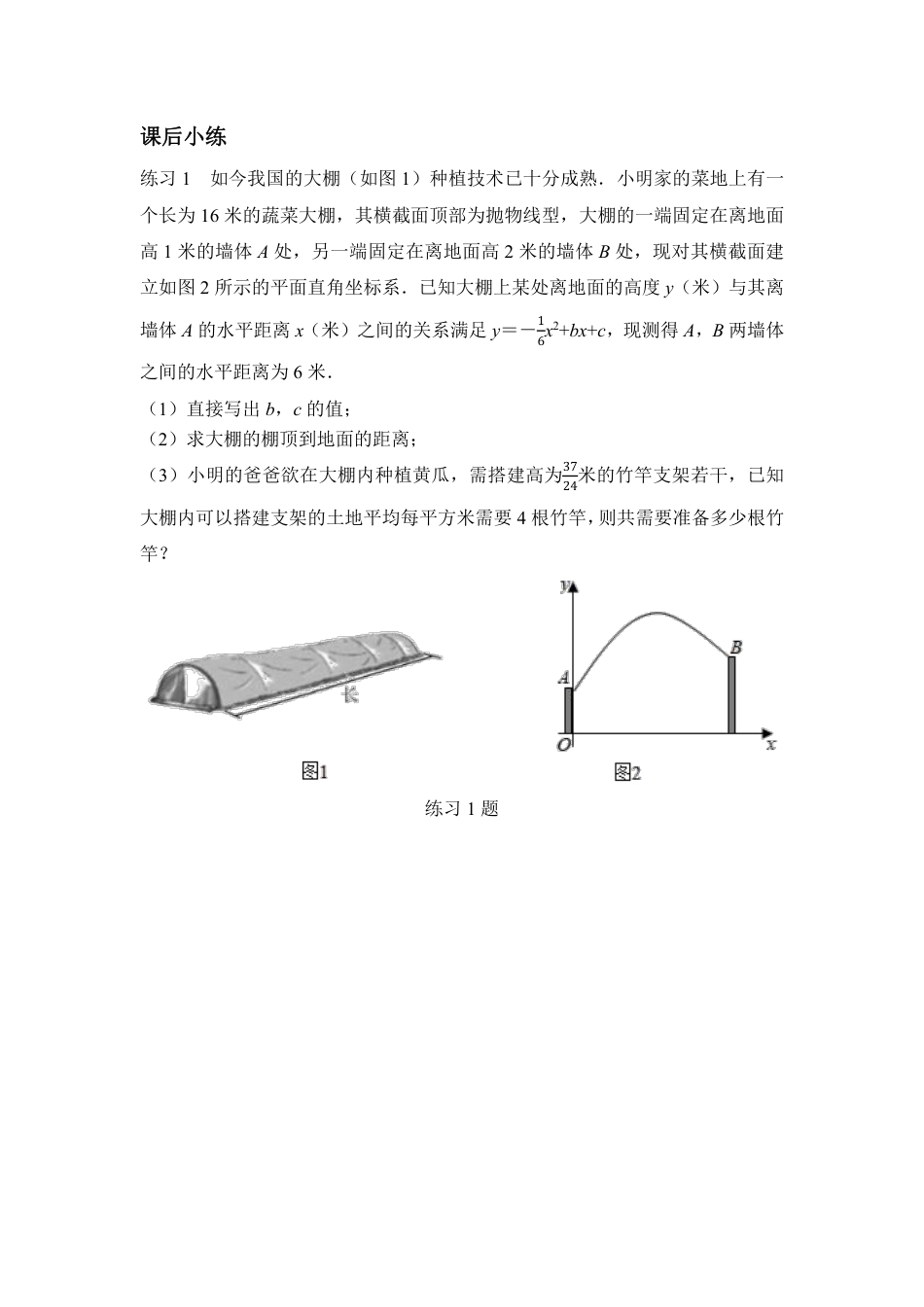 2024河南中考数学备考重难专题：抛物线型实际应用题导学案【含答案】.pdf_第4页