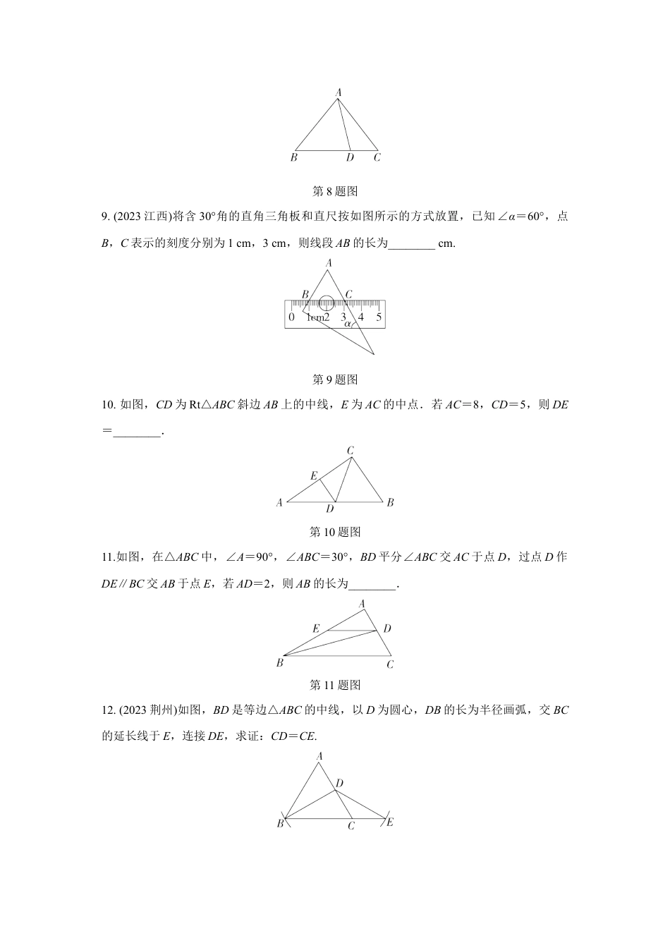 2024河南中考数学复习 特殊三角形及其性质 强化精练 (含答案).docx_第3页