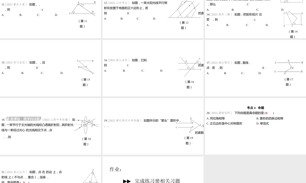 2024河南中考数学一轮知识点训练复习专题  线段、角、相交线与平行线  (课件).pptx