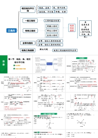 2024河南中考数学专题复习第四章 第一节 线段、角、相交线与平行线 课件.pptx