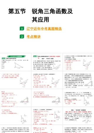 2024辽宁中考数学二轮复习 4.5 锐角三角函数及其应用 (课件).pptx