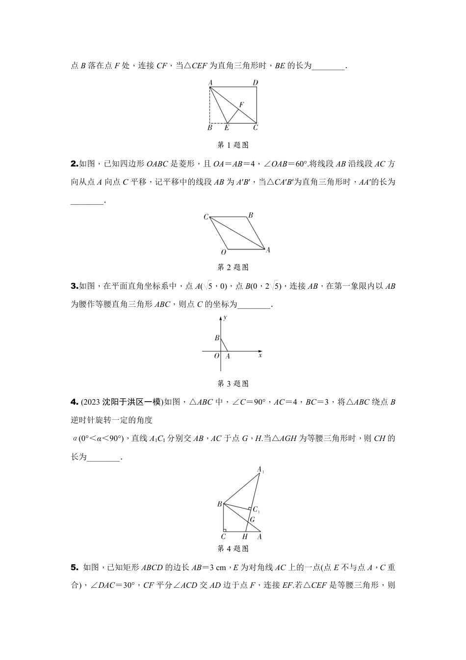 2024辽宁中考数学二轮专题训练 题型二 多解题 (含答案).pdf_第3页