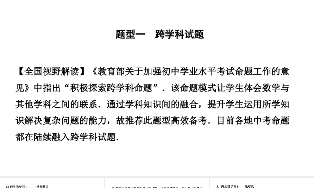 2024辽宁中考数学三轮冲刺系列 全国视野创新题型推荐(课件).pptx