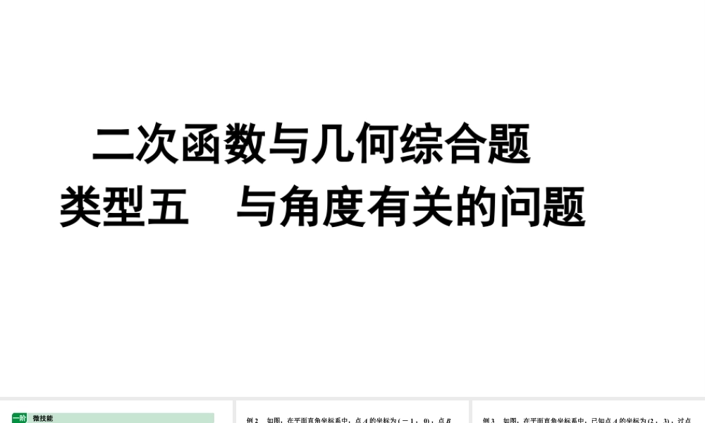 2024内蒙古中考数学二轮专题复习 二次函数与几何综合题 类型五 与角度有关的问题（课件）.pptx
