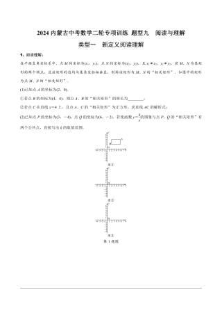 2024内蒙古中考数学二轮专项训练 题型九  阅读与理解（含答案）.pdf