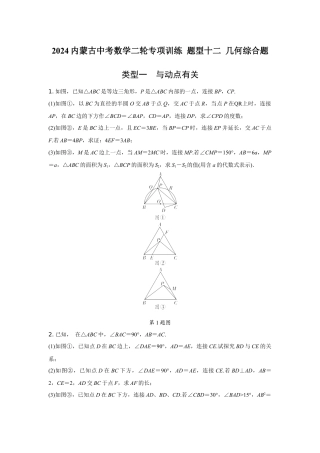 2024内蒙古中考数学二轮专项训练 题型十二 几何综合题（含答案）.docx