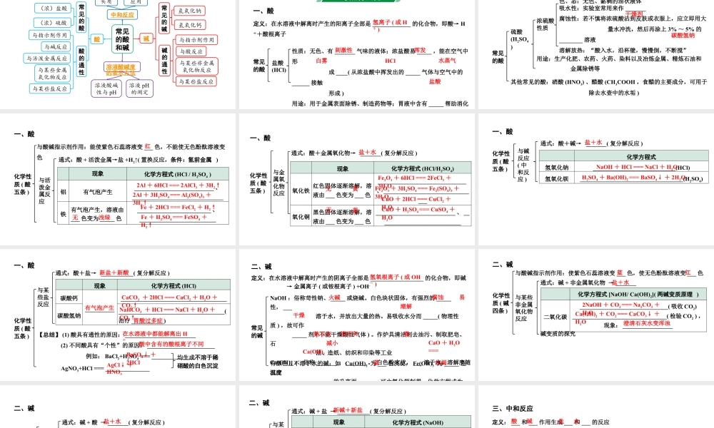 2024北部湾经济区中考化学二轮复习主题一  常见的酸和碱  （课件）.pptx