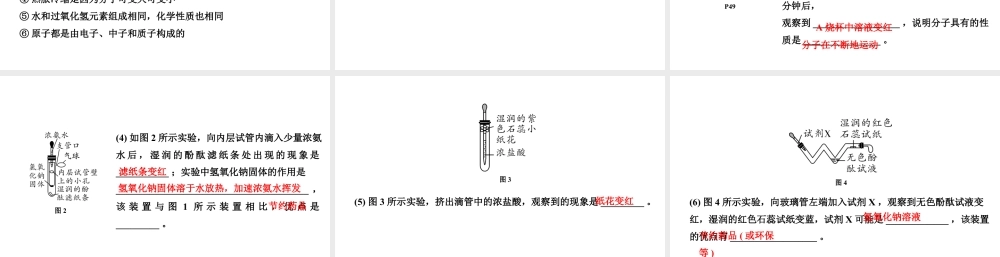 2024成都中考化学二轮复习 第三单元 物质构成的奥秘(课件).pptx