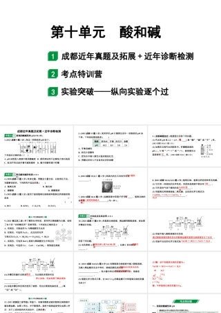 2024成都中考化学二轮复习之中考题型研究 第十单元　酸和碱（课件）.pptx