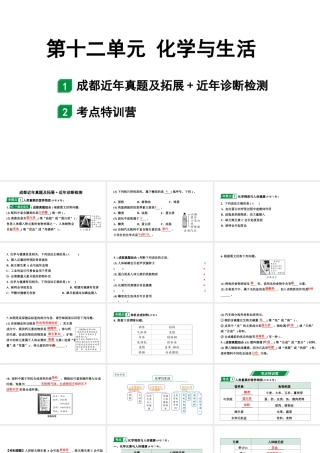2024成都中考化学二轮复习之中考题型研究 第十二单元 化学与生活（课件）.pptx