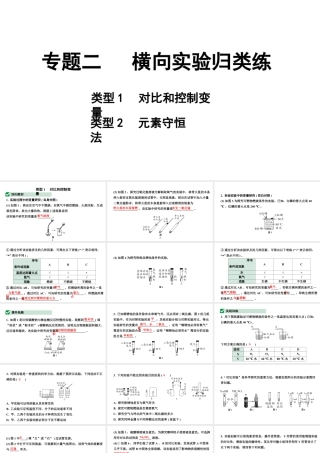 2024成都中考化学二轮复习之中考题型研究 专题二 横向实验归类练（课件）.pptx