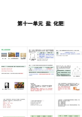 2024成都中考化学复习“四清”回归教材11第十一单元盐化肥 课件.pptx